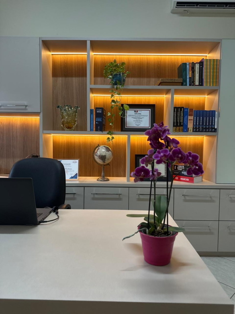 Planta decorativa sobre a mesa do Escritório Mayne Hortense Advocacia